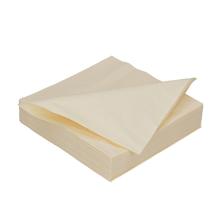SERVIETTE DUNI PAP. CREAM 40X40CM 2PLIS 1/4 (10X125) photo du produit