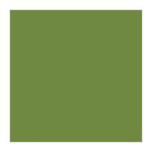 SERVIETTE DUNI PAP. LEAF GREEN 33X33CM 2PLIS 1/4 (16X125) photo du produit
