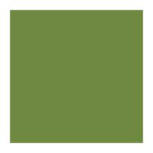 SERVIETTE DUNI PAP. LEAF GREEN 24X24CM 3PLIS 1/4 (8X250) photo du produit