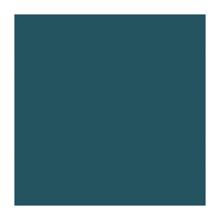 SERVIETTE DUNI PAP. OCEAN TEAL 33X33CM 1/4 3PLIS (8X125) photo du produit