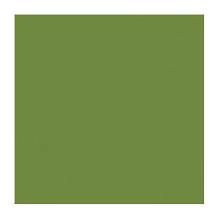 SERVIETTE DUNI PAP. LEAF GREEN 33X33CM 1/4 3PLIS (8X125) photo du produit