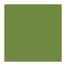 SERVIETTE DUNI PAP. LEAF GREEN 40X40CM 3PLIS 1/4 (8X125) photo du produit