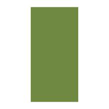 SERVIETTE DUNI PAP. LEAF GREEN 33X33CM 3PLIS 1/8 (4X250) photo du produit