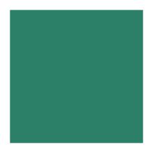 SERVIETTE DUNILIN VERT FONCE 40X40CM 1/4 (12X45) photo du produit