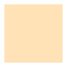 SERVIETTE DUNILIN CREAM 40X40CM 1/4 (12X45) photo du produit