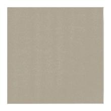 SERVIETTE DUNILIN GREIGE 40X40CM 1/4 (12X45) photo du produit