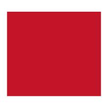 SERVIETTE DUNILIN ROUGE 40X40CM 1/4 (12X45) photo du produit