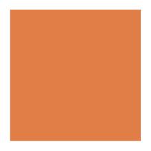 SERVIETTE DUNI PAP. SUN ORANGE 33X33CM 2PLIS 1/4 (16X125) photo du produit