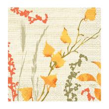 SERVIETTE DUNI PAP. FALL BEAUTY 33X33CM 3 PLIS 1/4 (10X50) photo du produit