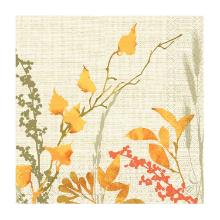 SERVIETTE DUNI PAP. FALL BEAUTY 40X40CM 3PLIS 1/4 (4X250) photo du produit