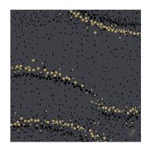 SERVIETTE DUNISOFT SOFT GOLDEN STARDUST BLACK 40X40CM 1/4 (6X60) photo du produit