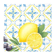 SERVIETTE DUNI PAP. MEDITERRIAN 33X33CM 3 PLIS 1/4 (10X50) photo du produit