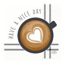 SERVIETTE DUNI PAP. NICE DAY 24X24CM 3PLIS 1/4 (8X250) photo du produit