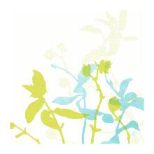 SERVIETTE DUNISOFT ELISE 40X40CM 1/4 (12X60) photo du produit