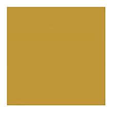 SERVIETTE BIO DUNISOFT HONEY 40X40CM 1/4 (6X60) photo du produit
