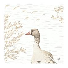 SERVIETTE BIO DUNISOFT WOOD&GOOSE 40X40CM 1/4 (6X60) photo du produit