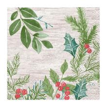 SERVIETTE DUNI PAP. WINTER GREENERY 33X33CM 3 PLIS ¼ (10X50) photo du produit