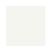 SERVIETTE BIO DUNISOFT BLANC 48X48CM 1/4 (6X60) photo du produit