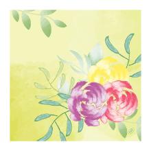 SERVET BIO DUNISOFT SOFT TROPICS 40X40CM 1/4 (6X60) artikelfoto