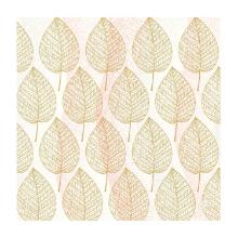 SERVIETTE BIO DUNISOFT ASPEN 40X40CM 1/4 (6X60) photo du produit