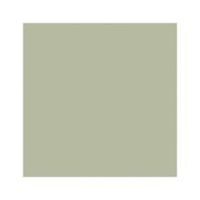 SERVET BIO DUNISOFT PISTACHIO GREEN 40X40CM 1/4 (6X60) artikelfoto