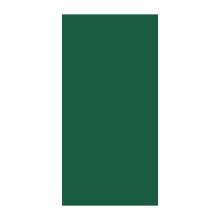 SERVIETTE DUNI PAP. VERT FONCE 33X33CM 3PLIS 1/8 (4X250) photo du produit