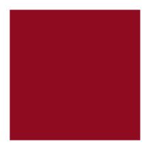 SERVET DUNI PAP. BORDEAUX 40X40CM 3LGS 1/4 (4X250) artikelfoto