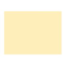 PLACEMAT PAPIER PALE (CREME) 30X40CM (4X250) artikelfoto