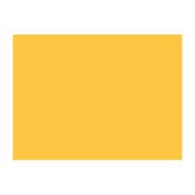 SET DE TABLE PAPIER DAISY JAUNE 30X40CM (4X250) photo du produit