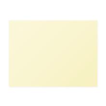 SET DE TABLE DUNI PAP. CHAMPAGNE 35X45CM (4X250) photo du produit