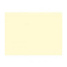 SET DE TABLE DUNI PAP. CHAMPAGNE 30X40CM (4X250) photo du produit