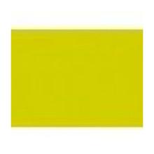 SET DE TABLE DUNI PAP. KIWI 30X40CM (4X250) photo du produit
