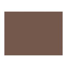 SET DE TABLE DUNI PAP. CHESTNUT 35X45CM (4X250) photo du produit