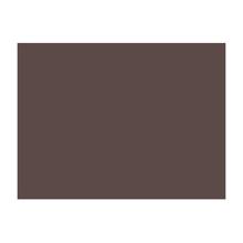 SET DE TABLE DUNI PAP. CHESTNUT 30X40CM (4X250) photo du produit
