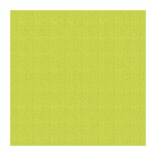 NAPPERON DUNISILK+ KIWI 84X84CM (5X20) photo du produit