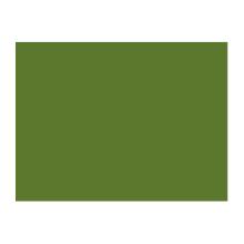 SET DE TABLE PAPIER LEAF GREEN 30X40CM (4X250) photo du produit