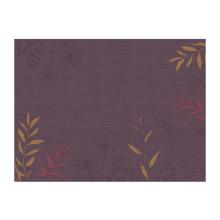SET DE TABLE PAPIER SOFT NATURE 30X40CM (4X250) photo du produit