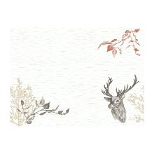 SET DE TABLE DUNI BIO DUNICEL WOOD & DEER 30X40CM (5X100) photo du produit