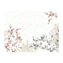 SET DE TABLE DUNI PAP. WOOD & NATURE 30X40CM (4X250) photo du produit