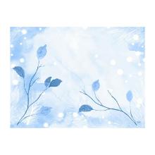 SET DE TABLE DUNICEL FROSTED WINTER 30X40CM (5X100) photo du produit