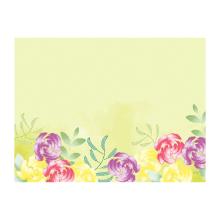 SET DE TABLE PAPIER SOFT TROPICS 30X40CM (4X250) photo du produit