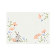 SET DE TABLE DUNI BIO DUNICEL UNNY BLOOM 30X40CM (5X100) photo du produit