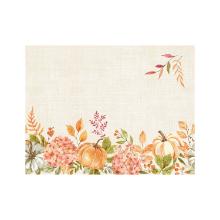 SET DE TABLE PAPIER SPICY PUMPKIN 30X40CM (4X250) photo du produit