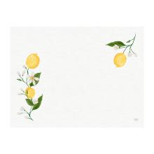 SET DE TABLE PAPIER LEMON FIESTA 30X40CM (4X250) photo du produit
