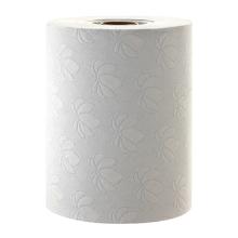 ROULEAU ESS.MAINS TORK POUR DISTR.TOUCH FREE ADVANCED BLANC 2PLIS 19.5CM H12(6) photo du produit