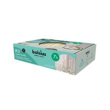 GOTISCHE KAARS BOLSIUS 7 UUR IVOOR D.23 H.240MM (2X100) artikelfoto