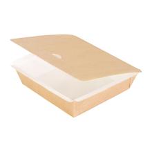BOX CARTON SEALABLE 165X165X45MM - 1000ML (1X250) photo du produit