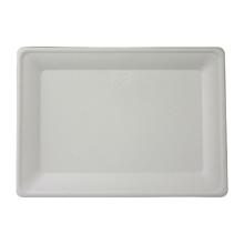 ASSIETTE RECTANGULAIRE CANNE A SUCRE BLANC 200X280MM (8X40) photo du produit