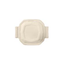 COUVERCLE CANNE A SUCRE POUR OCTABAGASSE 734205650 (6X50) photo du produit