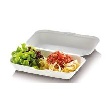 MEALBOX LARGE CANNE A SUCRE BLANC 1 COMP. 235X140X67MM 1500ML (2X125) photo du produit